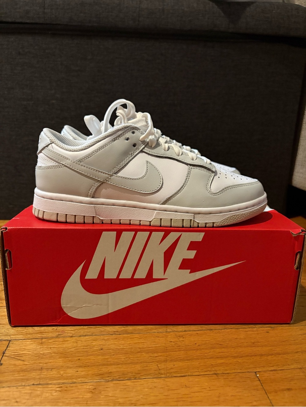 Brand New Nike Dunk Low